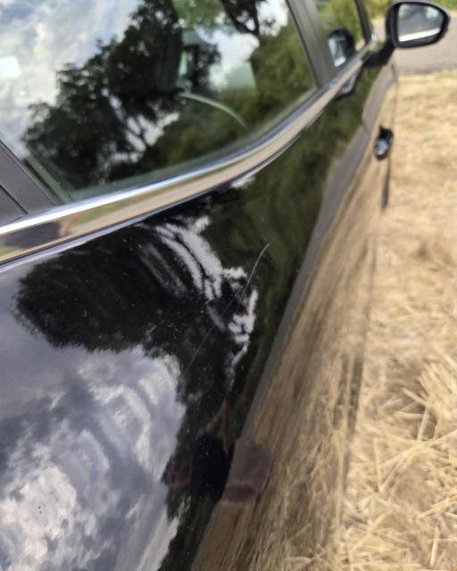 2021 2021 Renault Clio Clio Style — photo 10